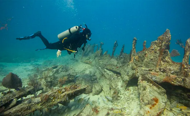 Duck Key Wreck (25 ft)