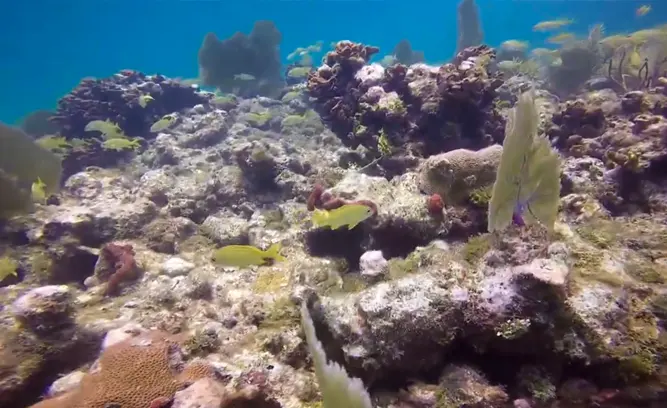 Herman's Hole (15-30 ft)