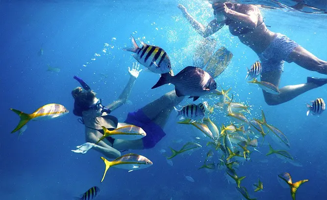 Sombrero Reef (20-35 ft)