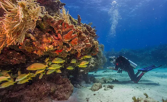 The Horseshoe (15-25 ft)